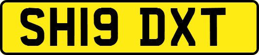 SH19DXT