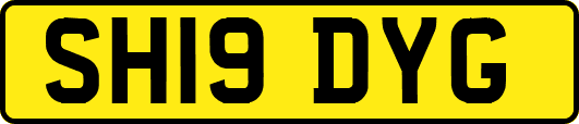 SH19DYG