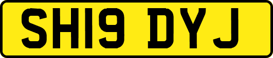 SH19DYJ