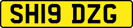 SH19DZG