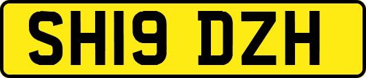 SH19DZH