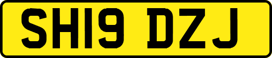 SH19DZJ