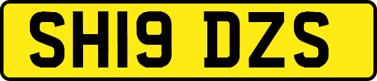 SH19DZS