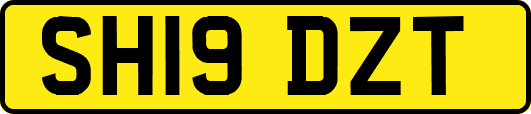 SH19DZT