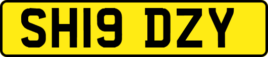 SH19DZY