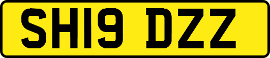 SH19DZZ