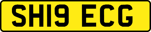 SH19ECG