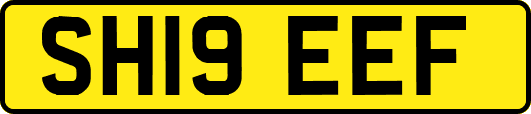 SH19EEF