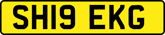 SH19EKG