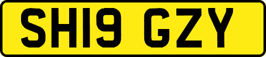 SH19GZY