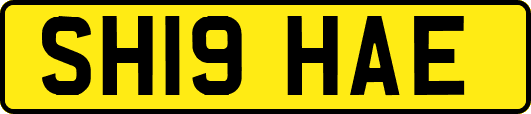 SH19HAE