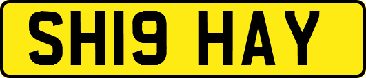 SH19HAY