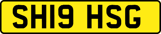 SH19HSG