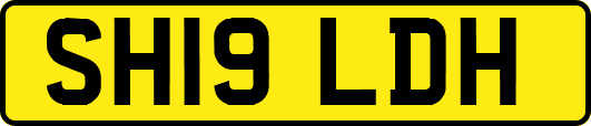 SH19LDH