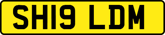 SH19LDM