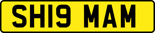 SH19MAM