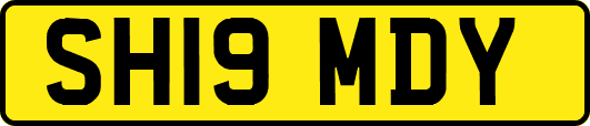 SH19MDY
