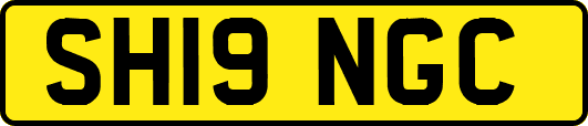 SH19NGC
