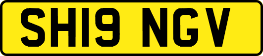 SH19NGV