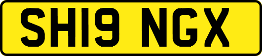 SH19NGX
