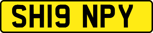 SH19NPY