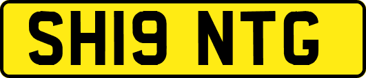 SH19NTG