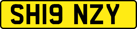SH19NZY
