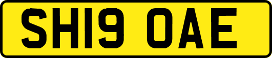 SH19OAE