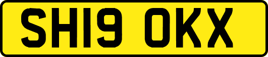 SH19OKX
