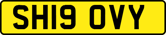 SH19OVY