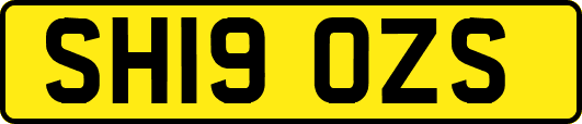 SH19OZS