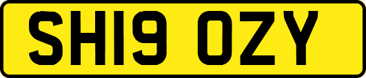 SH19OZY