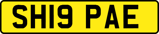 SH19PAE