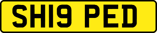 SH19PED