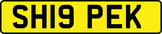 SH19PEK