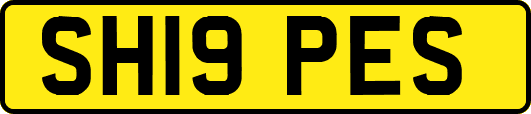 SH19PES