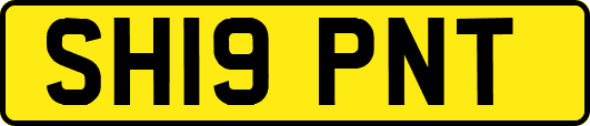SH19PNT