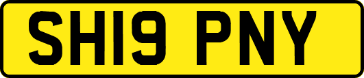 SH19PNY