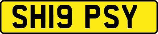 SH19PSY