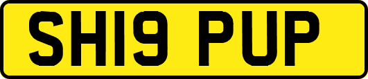 SH19PUP