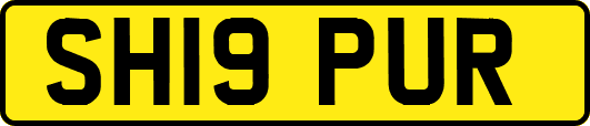 SH19PUR