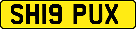 SH19PUX