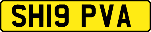 SH19PVA