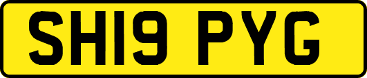 SH19PYG