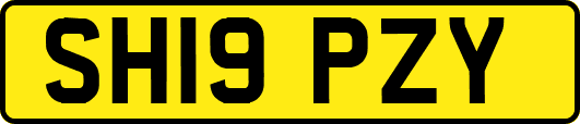 SH19PZY