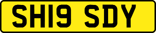 SH19SDY
