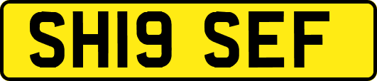 SH19SEF