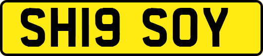 SH19SOY