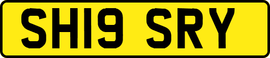 SH19SRY