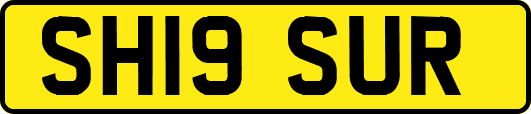 SH19SUR
